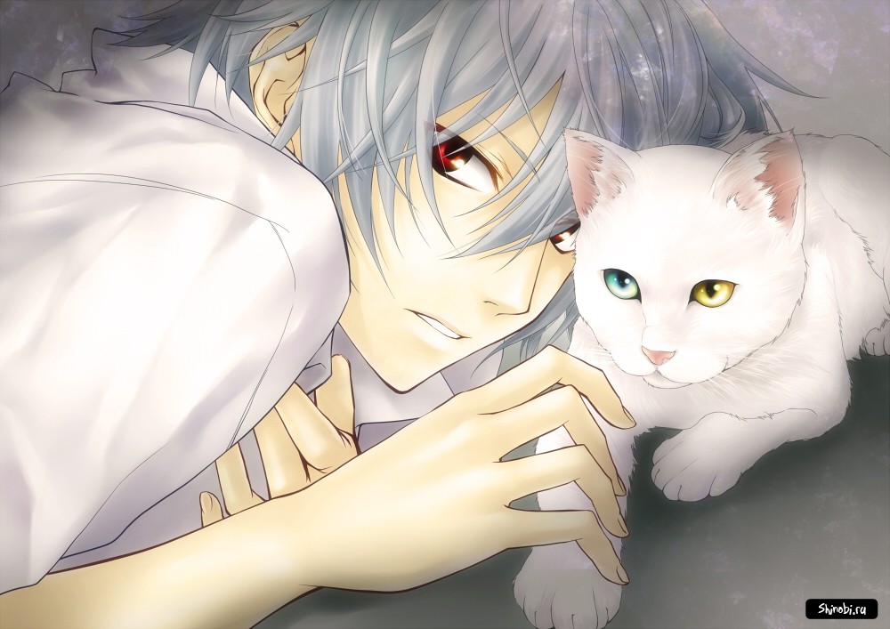 Каору Нагиса и кот