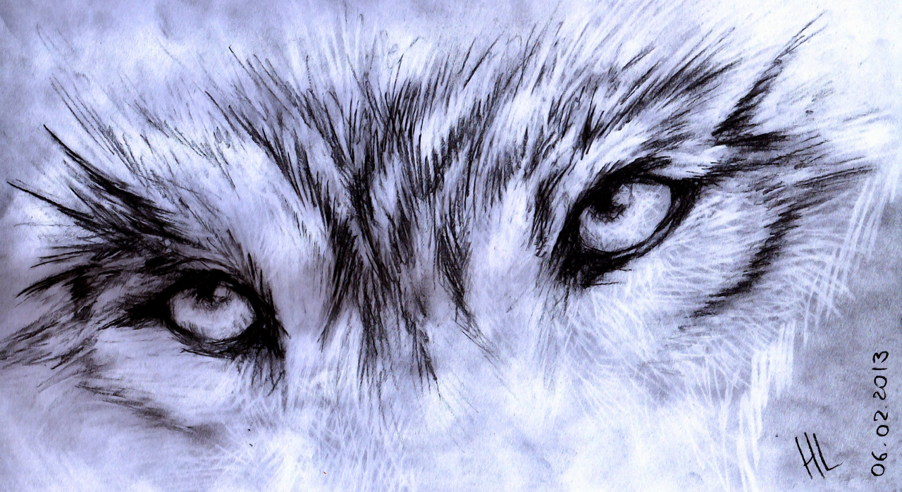 stwolf