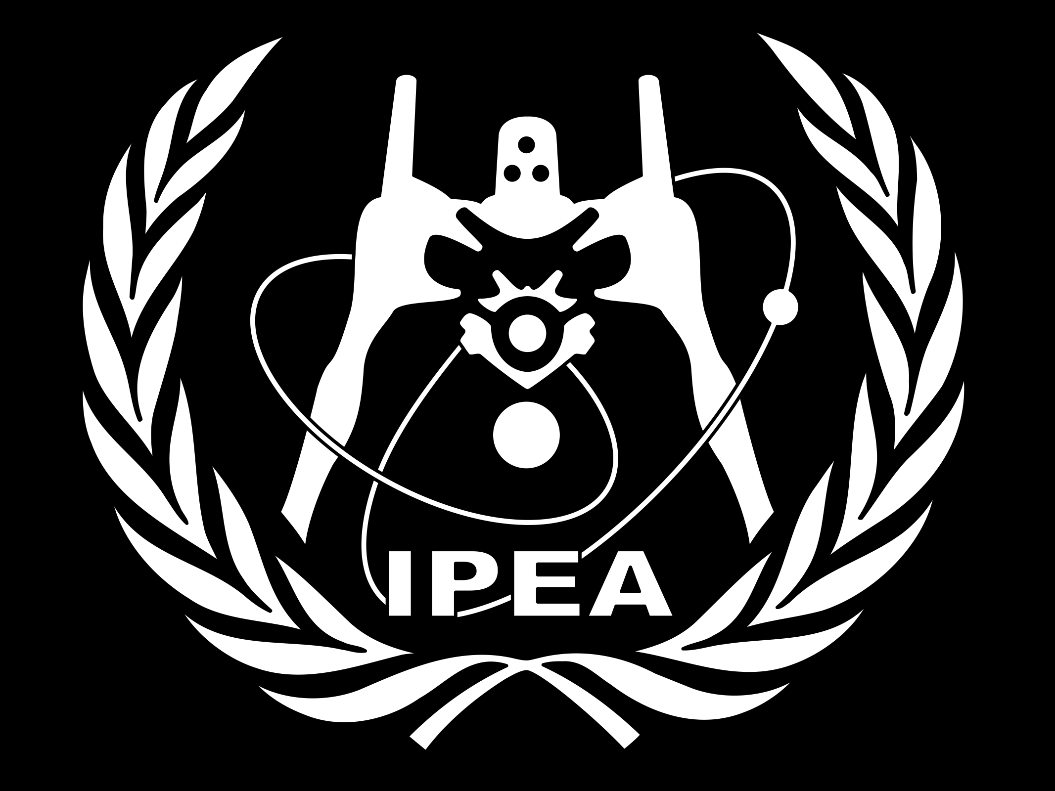 IPEA - подразделение ООН